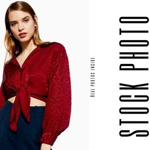 TOPSHOP Jacquard Tie Front Cropped Blouse